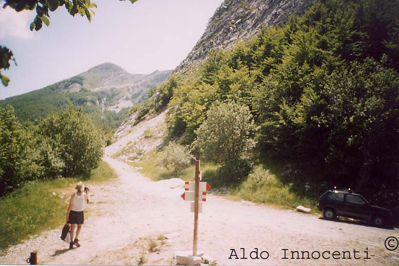 VALICO DI FOCIOMBOLI